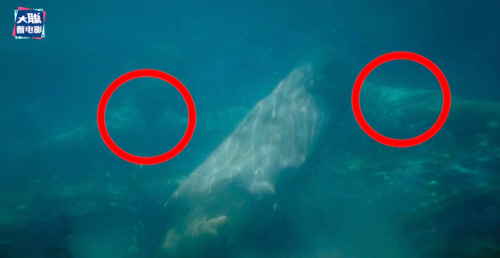 光遇驯龙多少次龙才听话(光遇有几只白冥龙)插图6 光遇驯龙多少次龙才听话(光遇有几只白冥龙)插图6