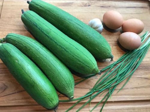 污草莓樱桃丝瓜绿巨人秋葵(樱桃秋葵向日葵)插图