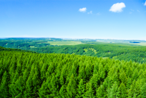 夏季避暑县城排名前十(中国夏季避暑城市排行榜)插图3 夏季避暑县城排名前十(中国夏季避暑城市排行榜)插图3