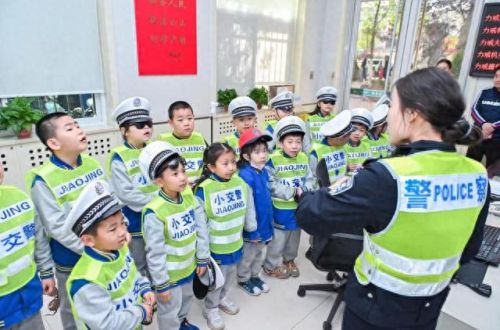 数码鹰(数码鹰有sim卡吗)