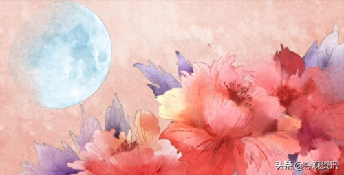 五体投地指的是哪五体-(五体投地代表哪三个数字)插图 五体投地指的是哪五体-(五体投地代表哪三个数字)插图