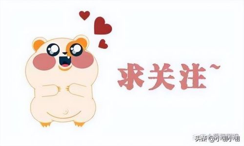 火炬之光2最强法师(法师最强流派玩法攻略)