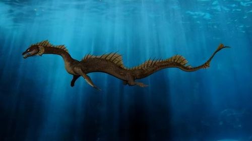 全球不明生物排名前十(中国十大不明生物图片)插图4 全球不明生物排名前十(中国十大不明生物图片)插图4