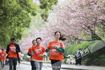 樱花高校(樱花高校大全)插图1 樱花高校(樱花高校大全)插图1