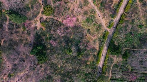 南京排名前十的山(南京哪座山风景最好)插图 南京排名前十的山(南京哪座山风景最好)插图