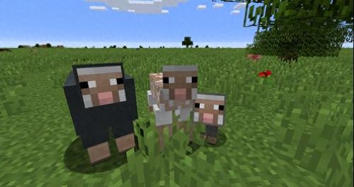 我的世界怎么养动物(我的世界动物饲养基地)插图5 我的世界怎么养动物(我的世界动物饲养基地)插图5