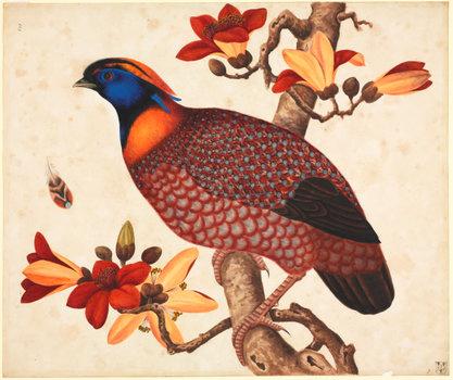 洛克王国紫藤的快速收集方法(洛克王国紫藤可掉落吗)插图23