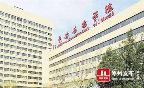 涿州考级机构排名前十(涿州语文班机构)