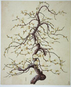 洛克王国紫藤的快速收集方法(洛克王国紫藤可掉落吗)插图14