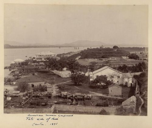 洛克王国紫藤的快速收集方法(洛克王国紫藤可掉落吗)插图7