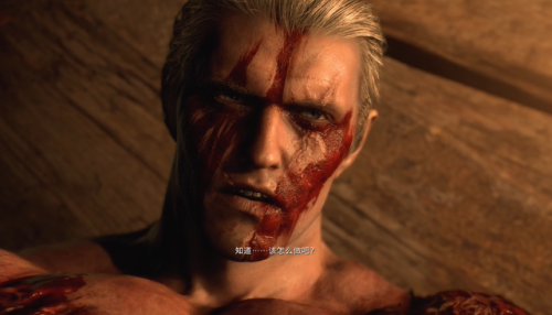 生化危机4重制版(生化危机4最强全果mod图片)插图9