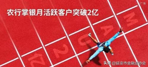 农业银行手机银行(农业银行手机银行转账限额)插图