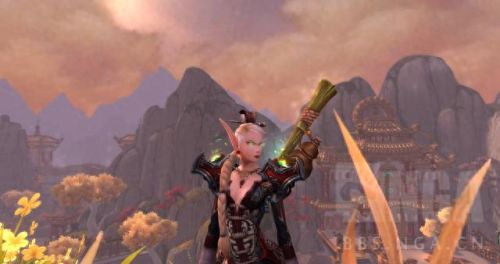 牧师幻化装备大全(牧师幻化攻略)插图63