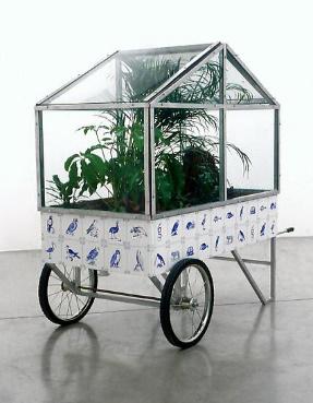 洛克王国紫藤的快速收集方法(洛克王国紫藤可掉落吗)插图26