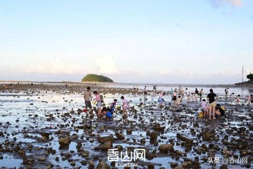 珠海世界排名前十(珠海十大海岛排名)插图37 珠海世界排名前十(珠海十大海岛排名)插图37