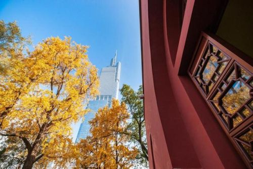 南京排名前十的山(南京哪座山风景最好)插图6 南京排名前十的山(南京哪座山风景最好)插图6