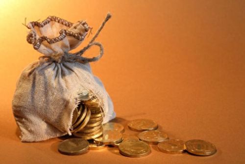 摇钱树怎么种(摇钱树浇水七句口诀)插图1