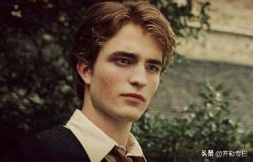 哈利波特四个学院(哈利波特四大学院变装)插图3