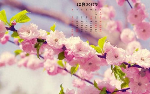 2017日历打印版(2016年日历免费打印)插图11