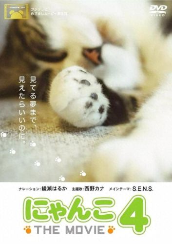 猫咪物语3(猫咪物语1官方)插图9 猫咪物语3(猫咪物语1官方)插图9