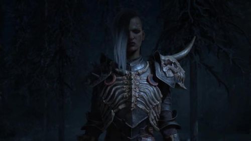 暗黑3死灵法师加点(暗黑破坏神3加点)插图