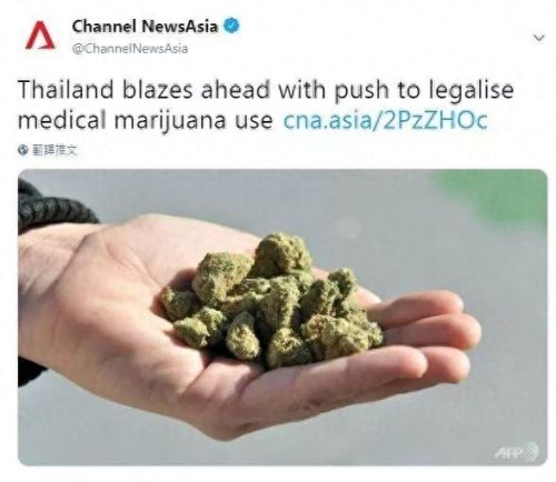 糟糕的万圣节(上海欢乐谷万圣节是几月几号)插图3