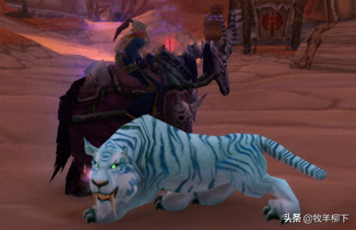 wow狮王休玛(狮王休玛位置在哪)插图2 wow狮王休玛(狮王休玛位置在哪)插图2