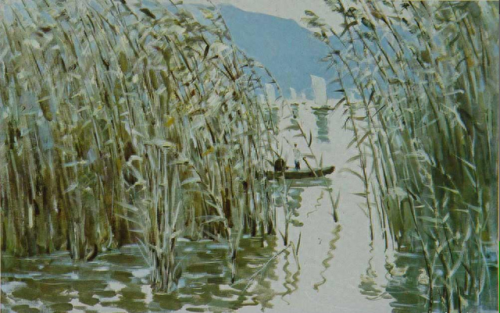 湿地又叫什么名字(湿地植物品种大全)插图6 湿地又叫什么名字(湿地植物品种大全)插图6