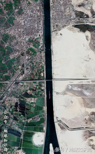 墨兰普斯(墨兰普斯的读后感)插图10 墨兰普斯(墨兰普斯的读后感)插图10