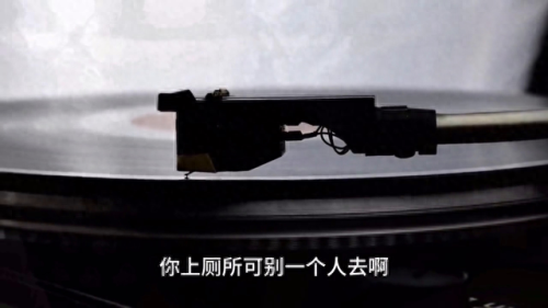 哪种动物的叫声和猫咪差不多(猫咪20种叫声代表什么)插图1