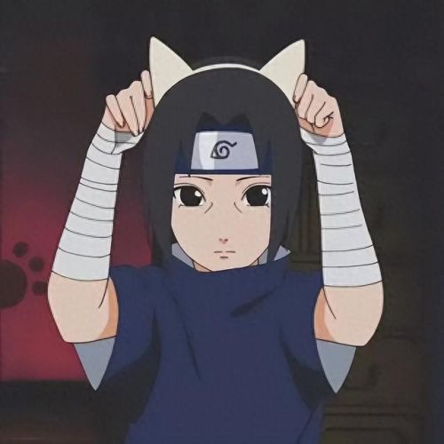 火影忍者之宇智波鼬(火影忍者小说 宇智波鼬)插图