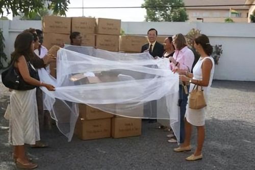 西班牙蚊帐排名前十图片(美朵嘉的蚊帐好吗)插图9 西班牙蚊帐排名前十图片(美朵嘉的蚊帐好吗)插图9