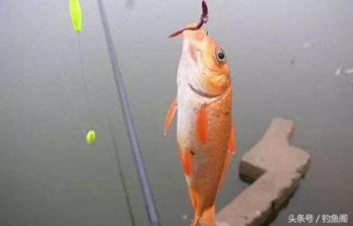 逃离带电水域攻略(逃离碎石河攻略)插图5