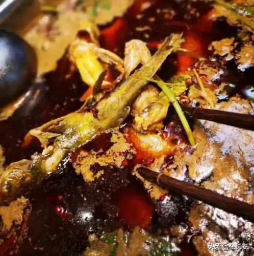 西安牛排涮锅排名前十(西安好吃的火锅店排名)插图23 西安牛排涮锅排名前十(西安好吃的火锅店排名)插图23