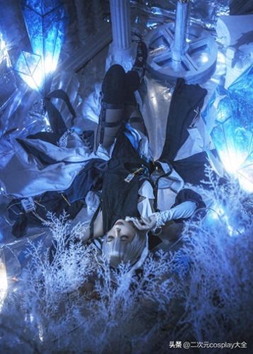 归溟幽灵鲨(归溟幽灵鲨立绘)