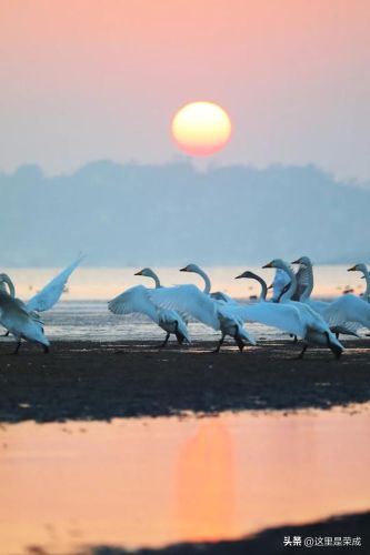 威海荣成温泉排名前十(威海哪个温泉是天然温泉)插图1 威海荣成温泉排名前十(威海哪个温泉是天然温泉)插图1
