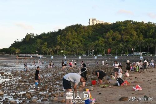 珠海世界排名前十(珠海十大海岛排名)插图38 珠海世界排名前十(珠海十大海岛排名)插图38