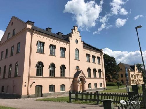 瑞典排名前十的高中(瑞典好吗)插图3 瑞典排名前十的高中(瑞典好吗)插图3