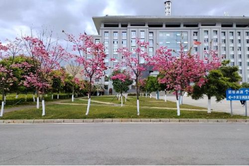 晋宁民宿排名前十(昆明最好的民宿)插图25 晋宁民宿排名前十(昆明最好的民宿)插图25