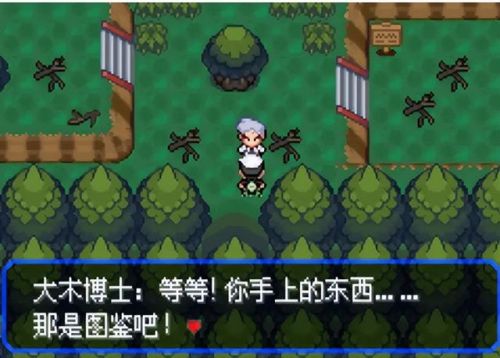 口袋妖怪究极绿宝石(口袋妖怪版本大全)插图10