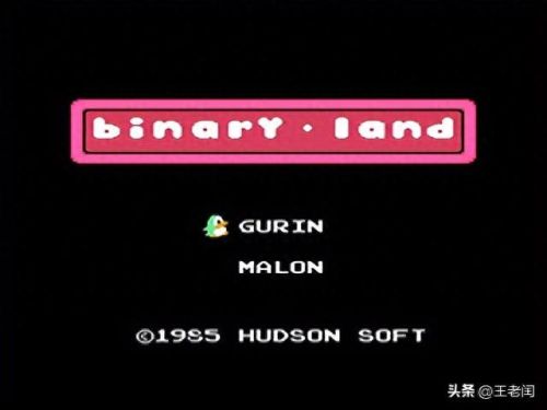 企鹅大陆(南极企鹅在大陆哪里)插图