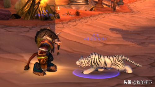 wow狮王休玛(狮王休玛位置在哪)插图5 wow狮王休玛(狮王休玛位置在哪)插图5