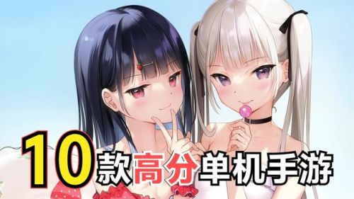 安卓十大必玩单机手机游戏(纯单机不联网大型手游)插图