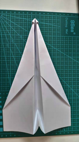 世界纸飞机排名前十(飞得最远的十大纸飞机)插图6 世界纸飞机排名前十(飞得最远的十大纸飞机)插图6