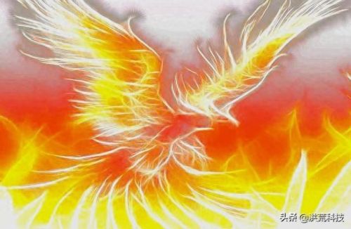 冰凤凰(冰凤凰vs火凤凰)插图14