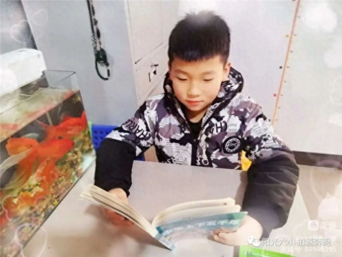 星推荐(cctv8星推荐)插图5 星推荐(cctv8星推荐)插图5