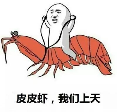 金海硕(最粗最长的玉米棒子品种)