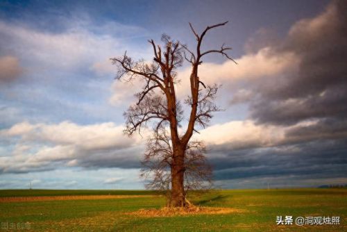 触宝输入法(输入法)