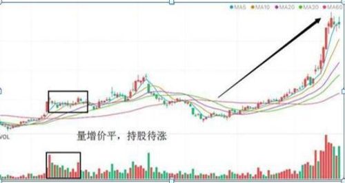 100000000迷你币永久激活码(万能激活码6位)插图2