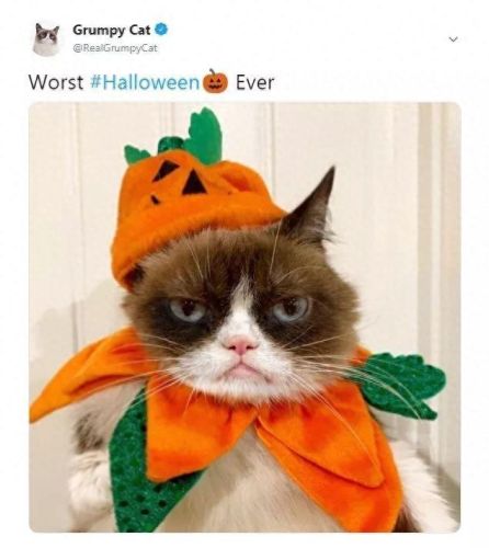 糟糕的万圣节(上海欢乐谷万圣节是几月几号)插图2